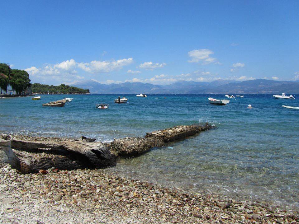 Slide Image
