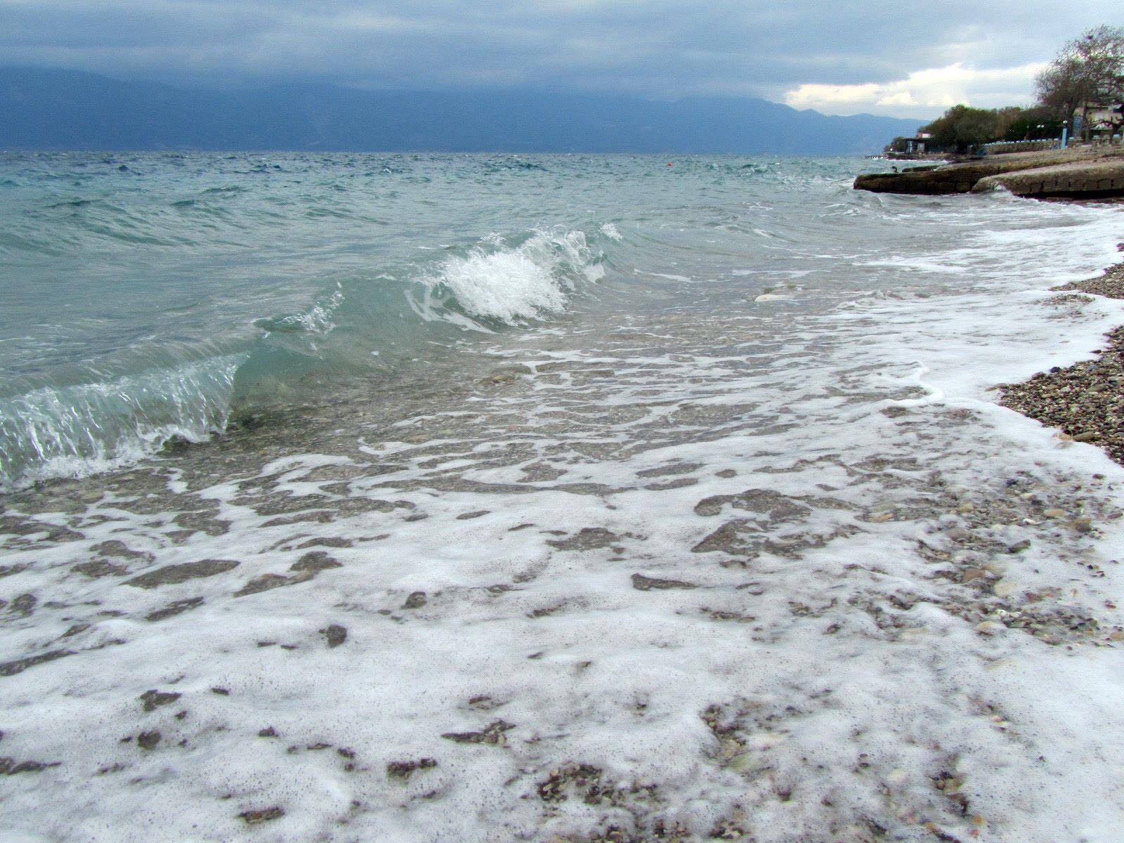 Slide Image